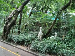 -深圳野生动物园