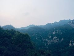 -大岭沟猕猴桃谷风景区