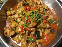 馋嘴蛙-京食源烧鸽子