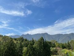 -白水寺森林公园