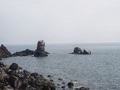 -涉地可支