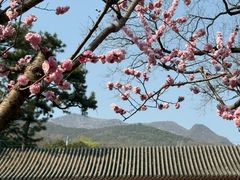 -红螺寺