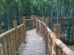 -陶祖圣境风景区