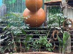 -呀路古热带植物园