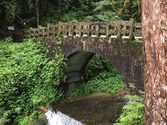 -阿里山神木遗迹