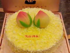 -BLACKSWAN黑天鹅(环球店)