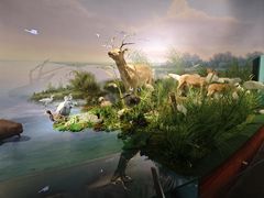 -湖南省地质博物馆