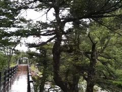 -燕子沟风景区