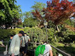 -青枫公园