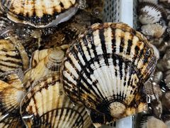 -金沙滩海鲜餐厅·海肠捞饭·手工水饺(梅江龙水园店)