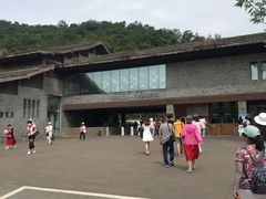 -都江堰中华大熊猫苑