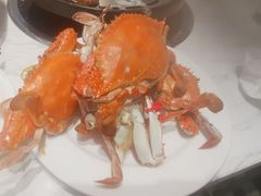 -半岛听涛蒸汽海鲜自助(K11店)