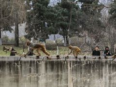-西安秦岭野生动物园