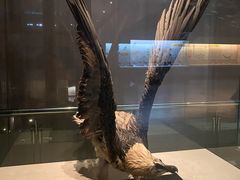 -青藏高原自然博物馆
