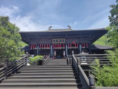 -大唐贡茶院