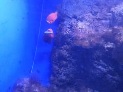 -常州海昌海洋探索馆