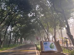 -广州市白云山风景名胜区