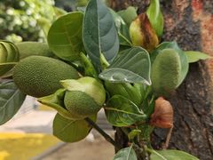 -中国移动南方基地