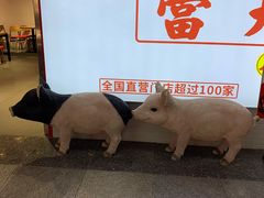 -连城·新天地(福华一路店)