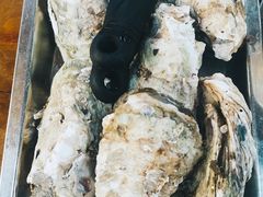 原只蒸生蚝-蚝得喜海鲜(东城店)