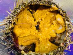 黄金海胆-蚝堡海鲜·威海菜·海肠捞饭·烧烤·亚洲吃蚝公司(幸福门店)