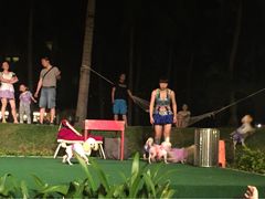 picture-三亚亚龙湾天域度假酒店