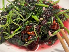 -文三里屯面馆(三里屯店)