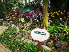 -南山植物园