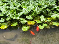 -中国湿地博物馆