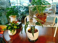 -家琳甜品(江南东店)