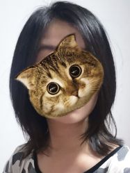 -V-STAR威斯达•高级私人定制