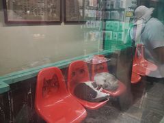 -猫咪博物馆(顶澳仔猫街店)