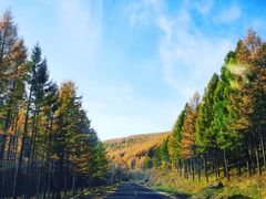 -塞罕坝国家级自然保护区