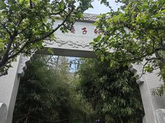 -竹子庵公园