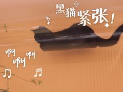 -萤火虫咖啡(后海店)