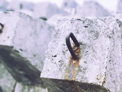 -上海滨江森林公园