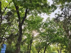 -元大都城垣遗址公园