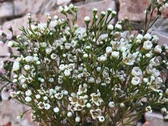 -VOYAGE COFFEE(北锣鼓巷店)