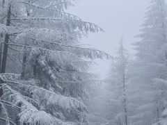 -秦岭风景区