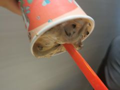 -DQ·蛋糕·冰淇淋(绿宝店)