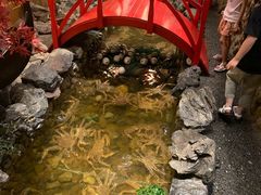 -綱元·海鲜豆捞(明州里店)