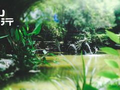 -汇龙潭