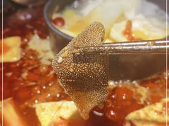 -蜀家渝重庆火锅(南屏街店)