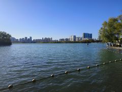 -天鹅湖体育公园