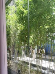 -爱儿美儿童摄影(朝阳公园店)