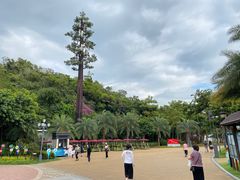 -野狸岛