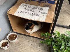 -转山咖啡(松柏社区店)