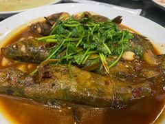 -溱湖八鲜菜馆