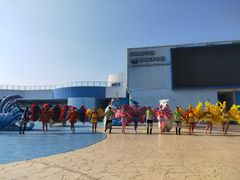 -芜湖新华联大白鲸海洋公园