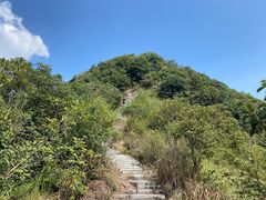 -午潮山国家森林公园